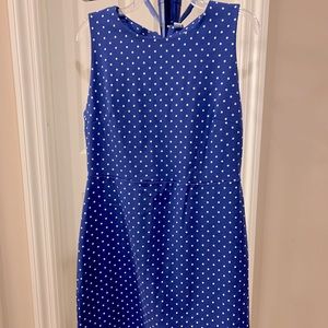 Old navy blue polka dot dress.